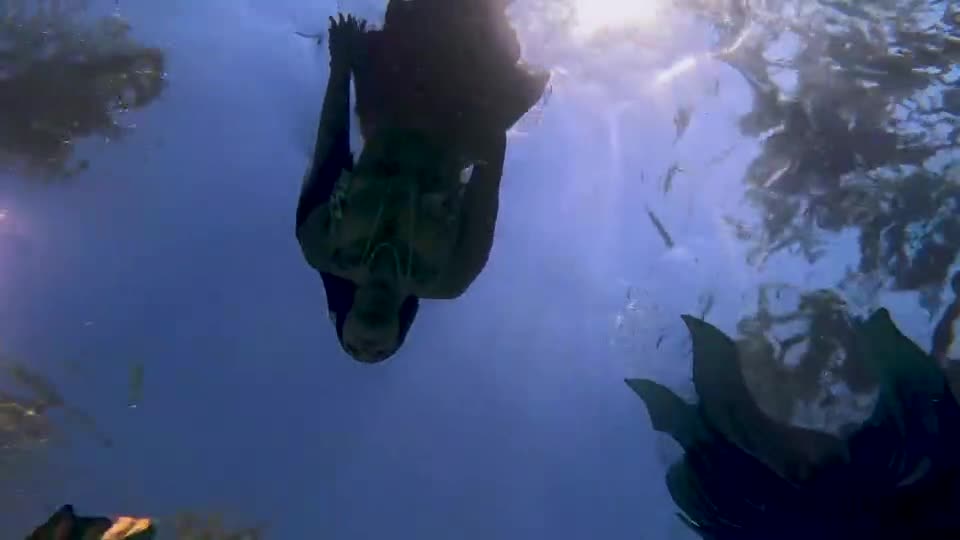 Adria Rae Leigh Raven Jewelz Blu Lesbian Mermaid DP Part 4 Threesome Lesbian BigTits BigAss Outdoor Strapon Tattoo - ASMR Porn Video & Massage XXX | Fullthot