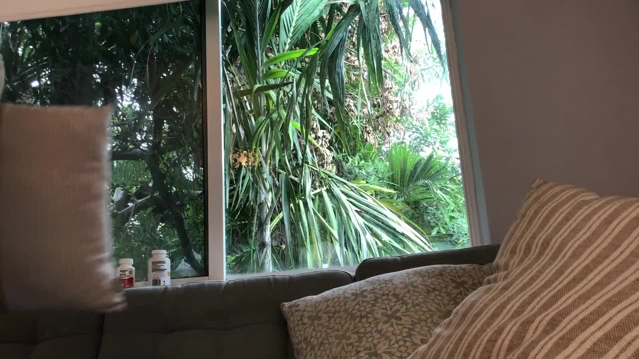 Miss Bell ASMR - 28 September 2021 - Take Care Of You - ASMR Porn Video & Massage XXX | Fullthot