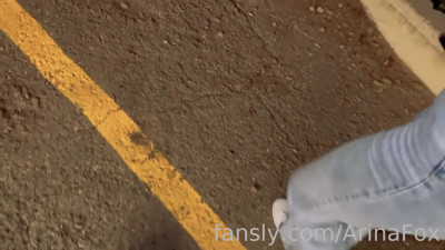 Arina Fox Ferris Wheel Blowjob