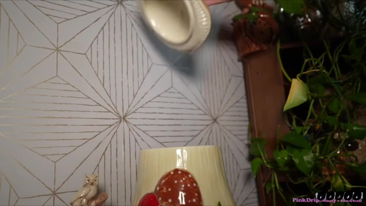 Pink Drip - Auntidote