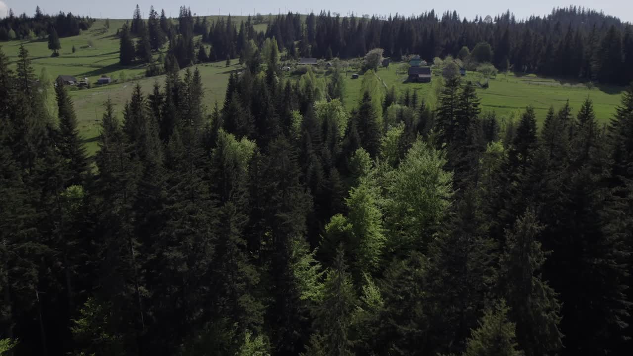 A Day in the Life of Margo V. of the Carpathians, Ukraine