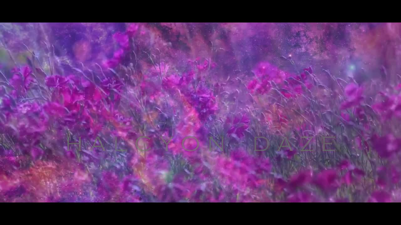 Halcyon Daze PMV - Shibby