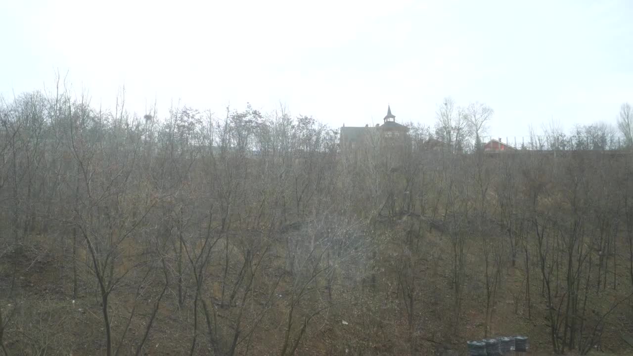 Toree - A Day In The Life