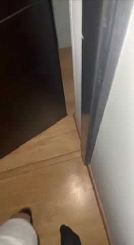 Iris Rodriguez Gets Woken Up By A Dick In Her Mouth - Blowjob, Latina, Latina Blowjob, OnlyFans Model, OnlyFans, Celebrity