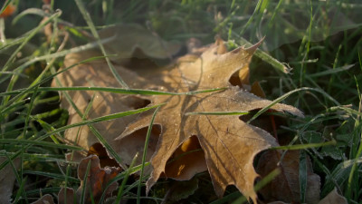 Hegre - A Day In The Life Of Tiana - ASMR Porn Video & Massage XXX | Fullthot