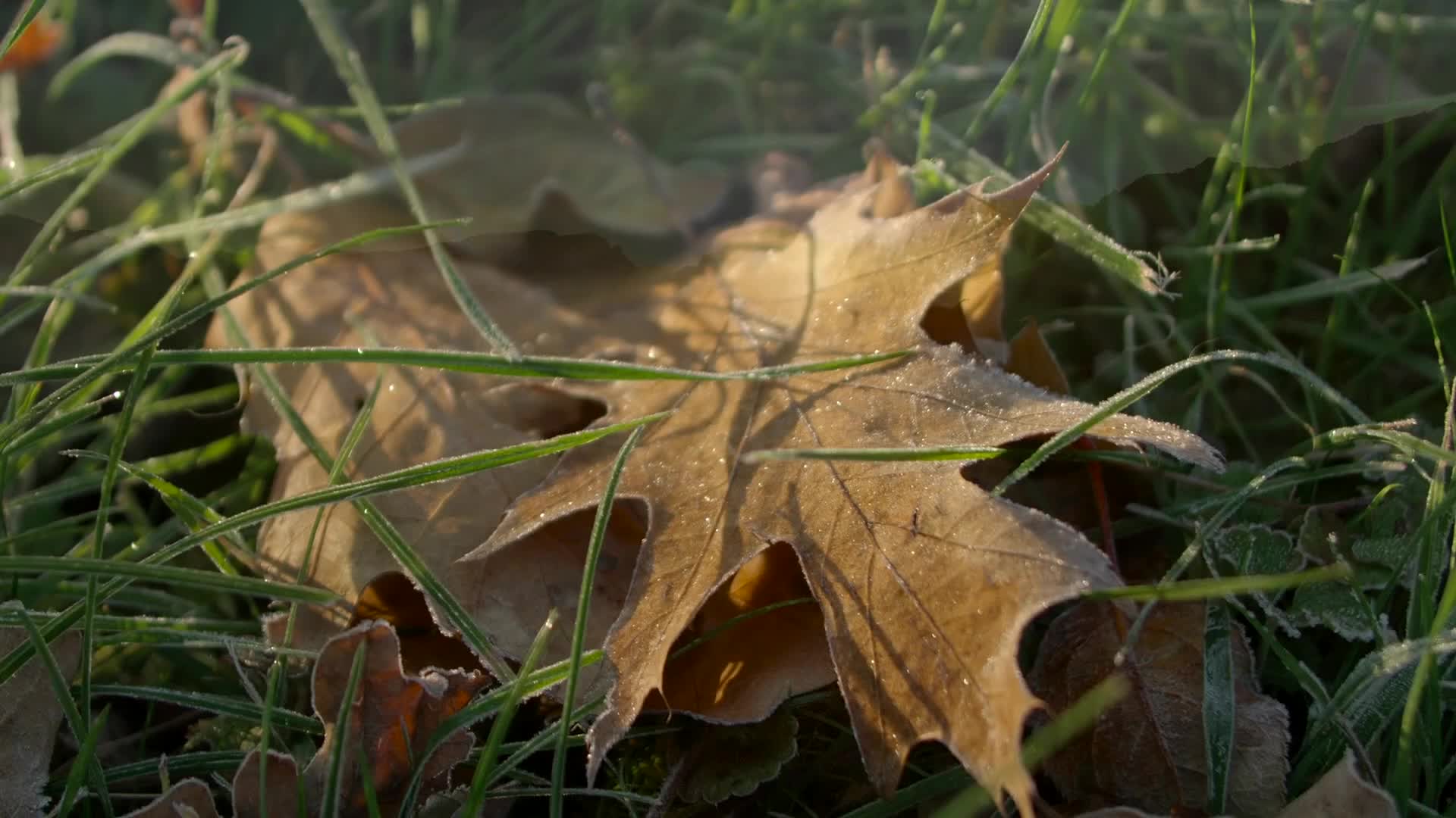 Hegre - A Day In The Life Of Tiana