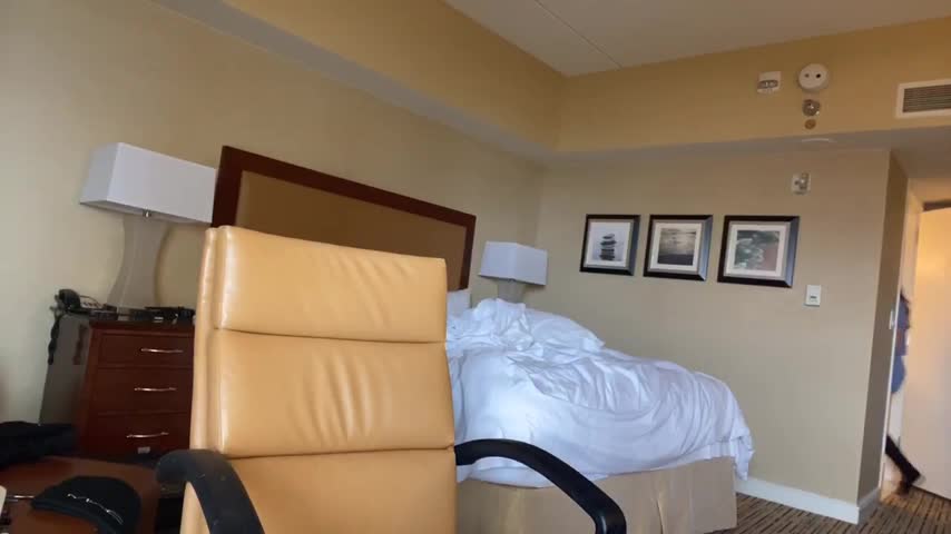 Pokimane Sexy Panties See Through Twitchcon Leak