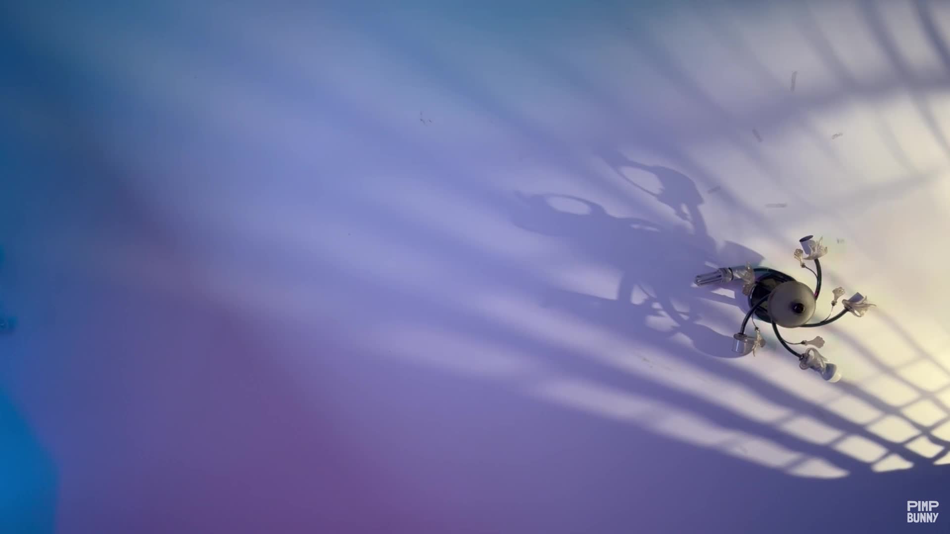 Squats In Your Face - 4K, Seduction, Teasing, Skirt, Tattoos, Panties, Curly Hair, Ass, Pussy Rubbing