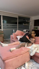 Brandy Renee Pov Blowjob Titty Fuck Cumshot - ASMR Porn Video & Massage XXX | Fullthot