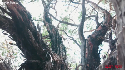 Eden Ivy's Tied Up Anal Sex In The Woods - Anal - BDSM - Sex - Blowjob - Outdoor - Tied Up - Outdoor Anal - Outdoor Creampie - Outdoor Blowjob - Gagging - ASMR Porn Video & Massage XXX | Fullthot