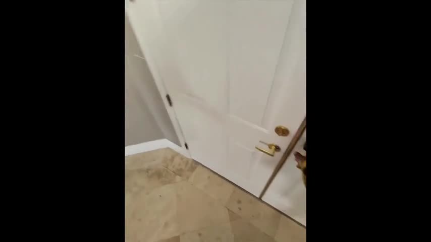 Doordash Delivery Roleplay By Pawg Emily - HD - Roleplay - Delivery Boy