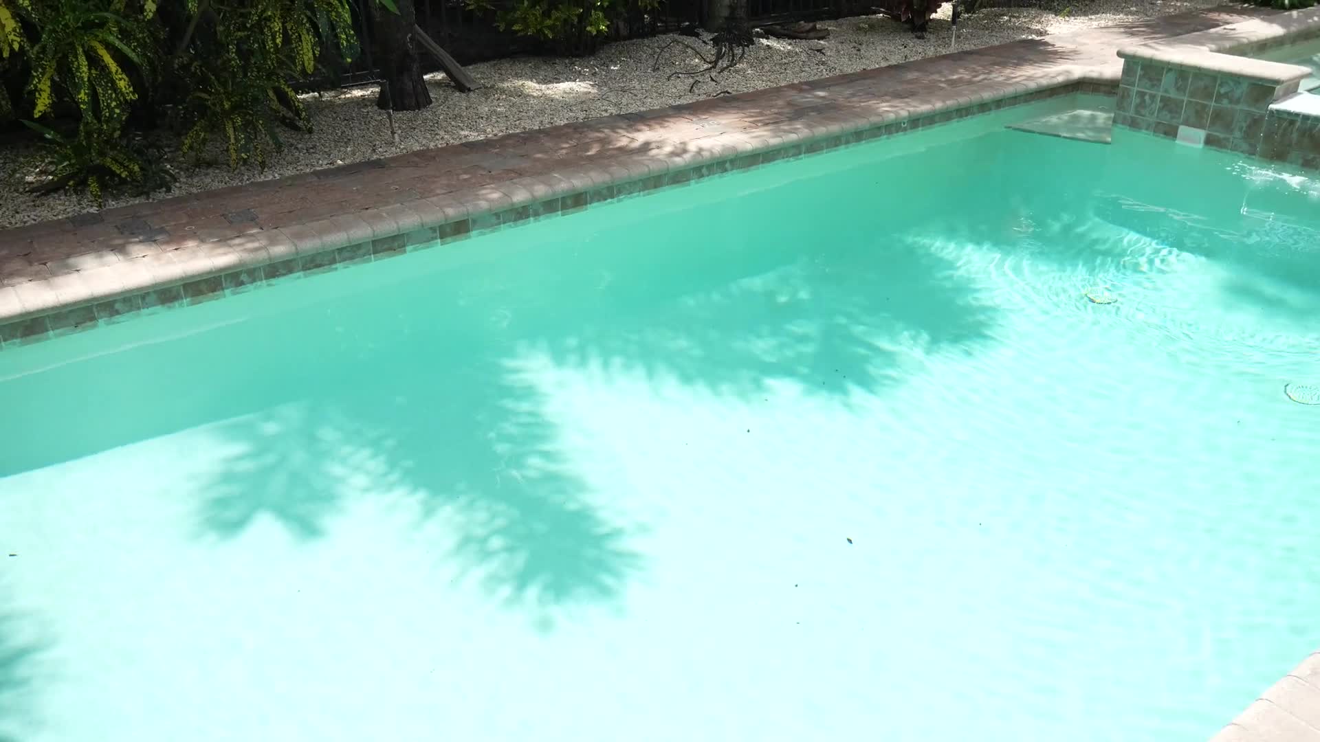 Ambie Bambi Sucks A Cock In The Pool - 4K - Blowjob - Outdoor - OnlyFans - Blonde - Tattoos - Nose Piercing - Moaning - POV - Boobs